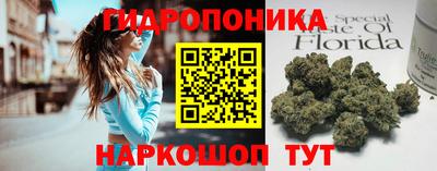 прущий лед Бийск