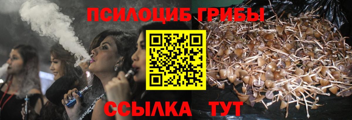Галлюциногенные грибы Magic Shrooms Заводоуковск
