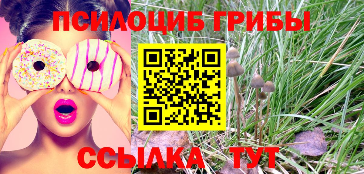 купить наркоту  Галлюциногенные грибы мицелий  Галлюциногенные грибы прущие грибы  Вход с VPN  Заводоуковск 
